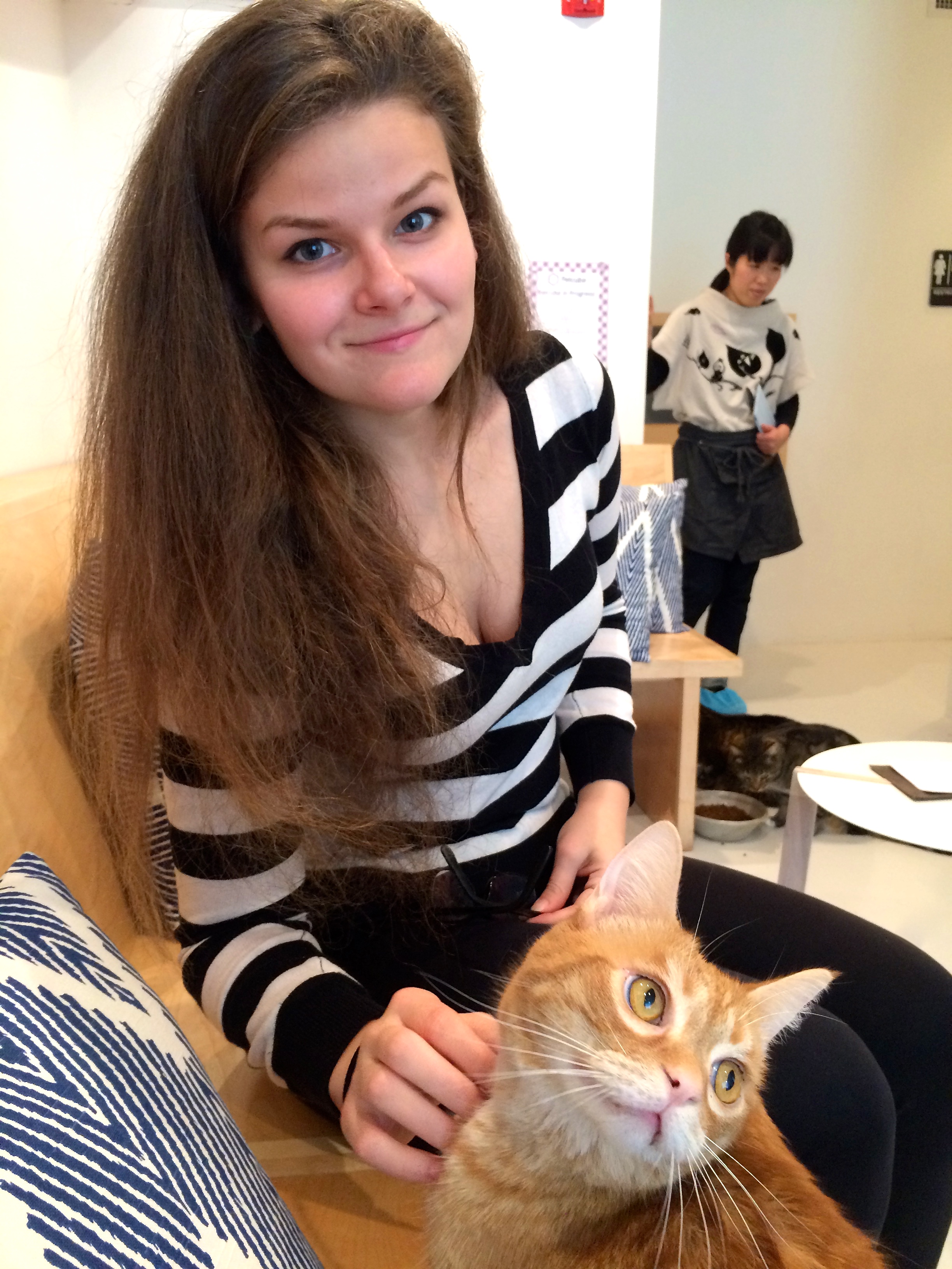 KitTea_SanFrancisco