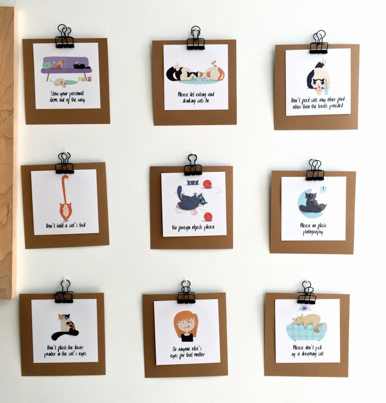KitTea Cat Cafe Review: A Look Inside San Francisco’s Cutest Cafe