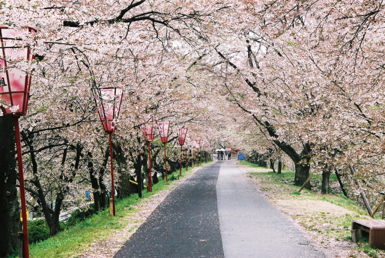 7 Things I’m Excited to Do in Japan