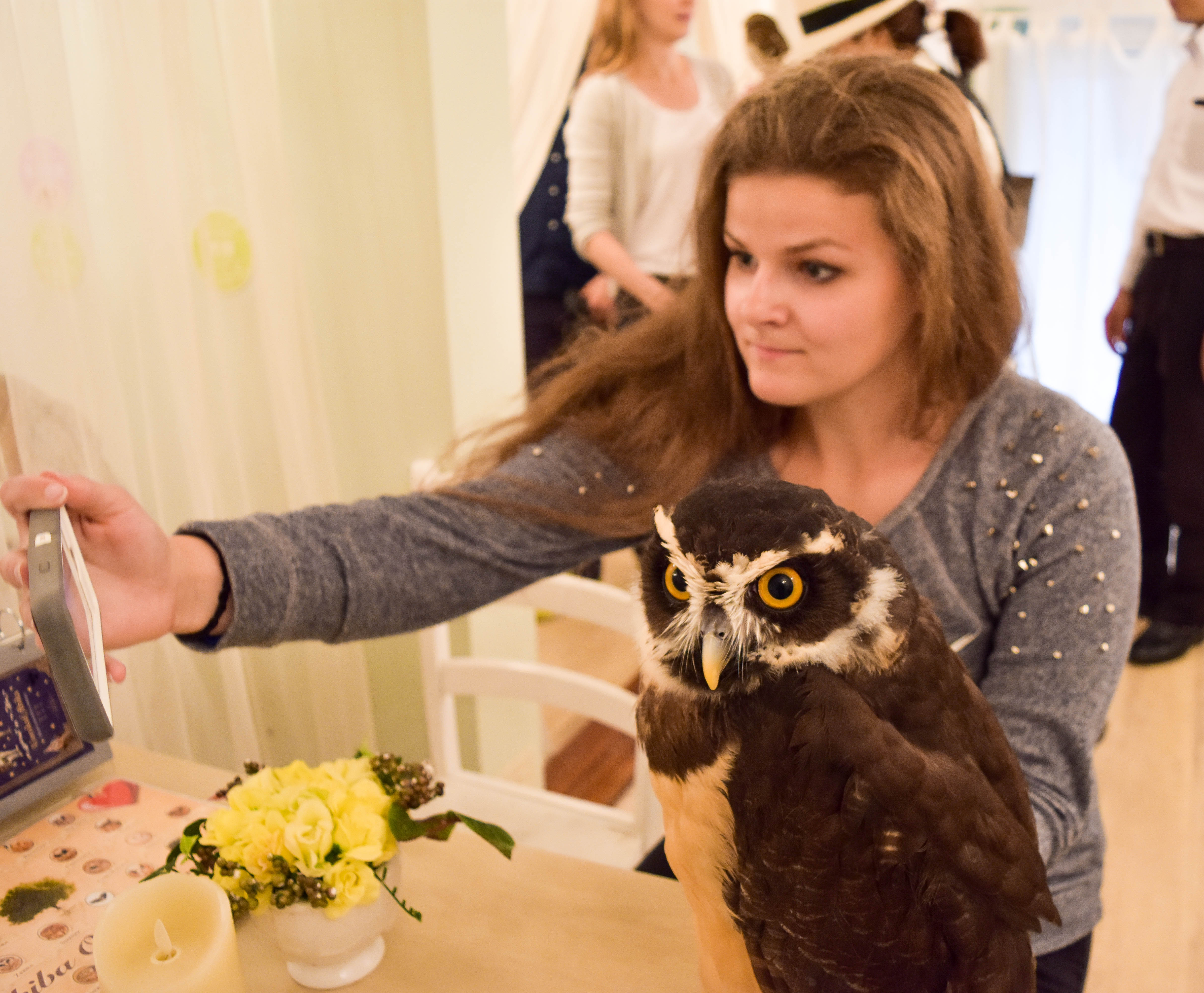 owl_cafe_tokyo_adventureswithluda