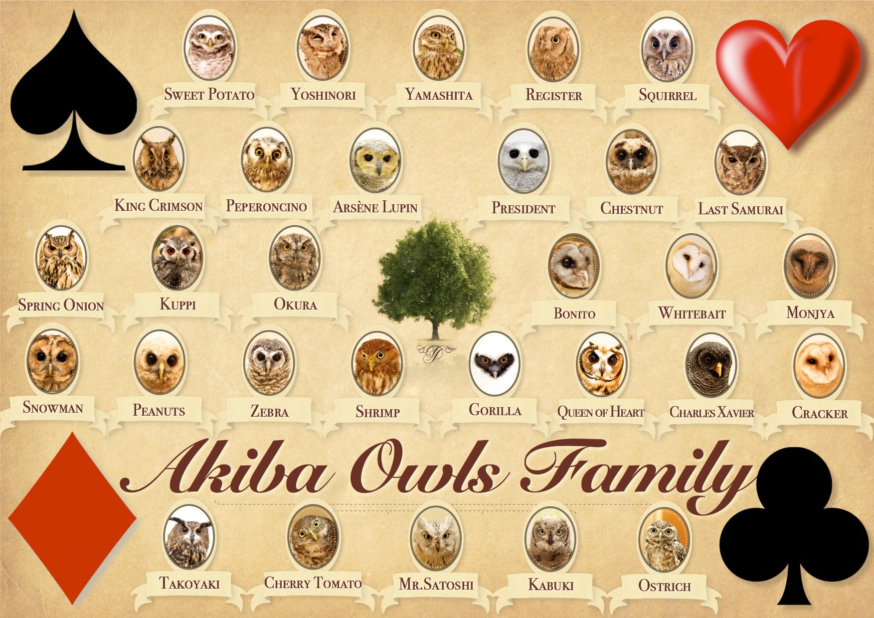 akiba_fukurou_owl_family