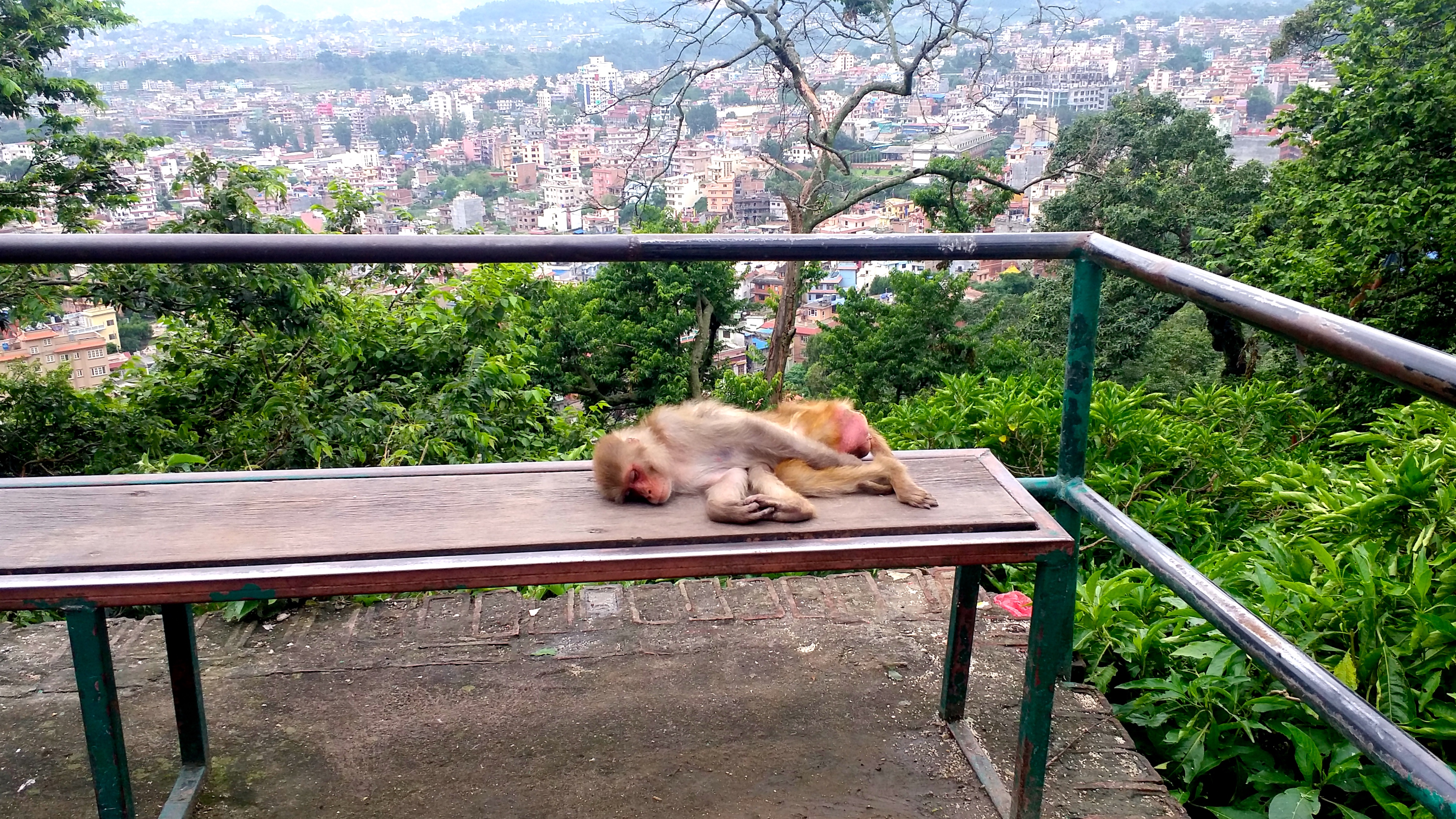 nepal_travel_katmandu_adventureswithluda