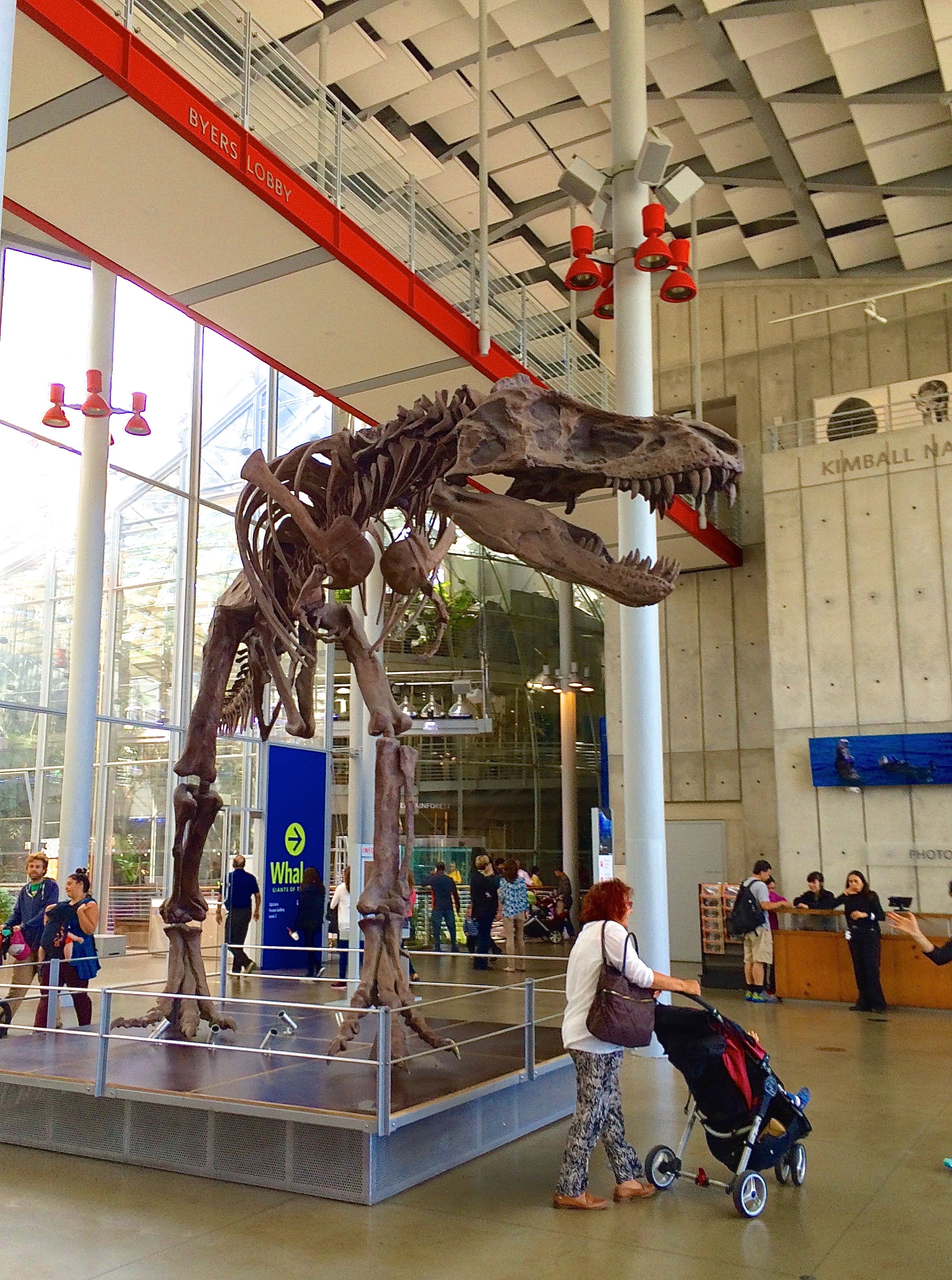 san-francisco-citypass-booklet_travel_blog-adventureswithluda