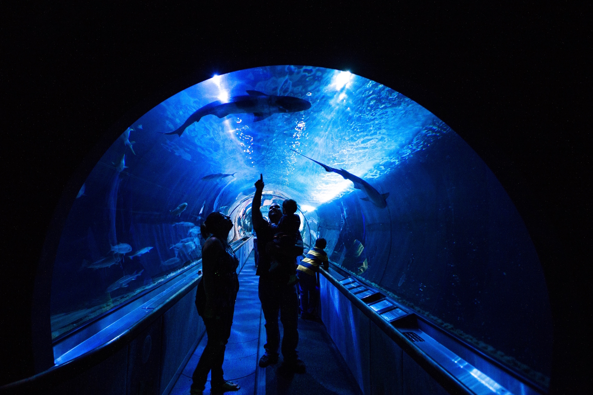 san-francisco-citypass-booklet_travel_blog-adventureswithluda