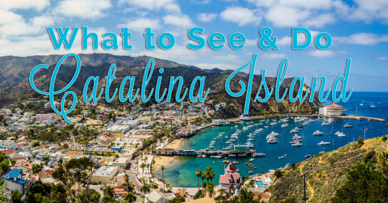What to See & Do on Catalina Island – Los Angeles Day Trip
