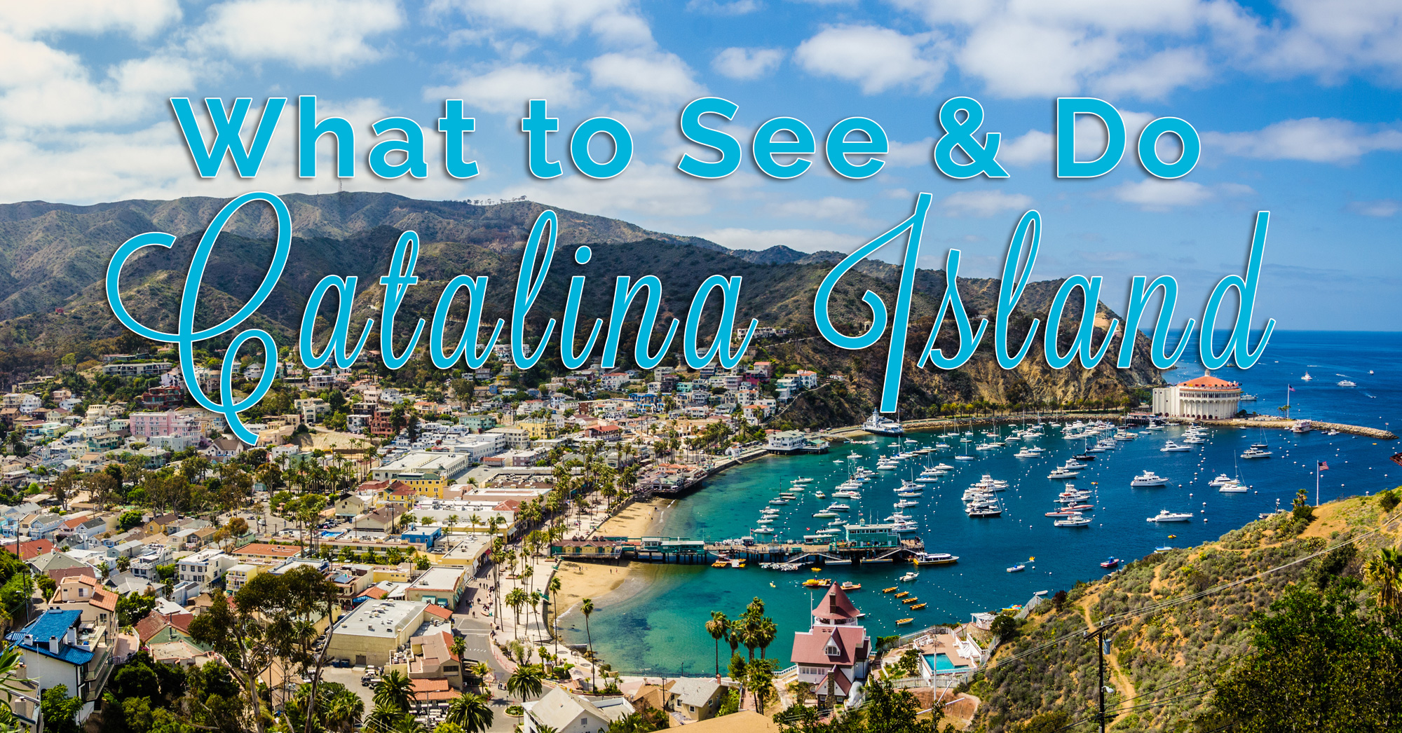 What to See & Do on Catalina Island Los Angeles Day Trip Adventures