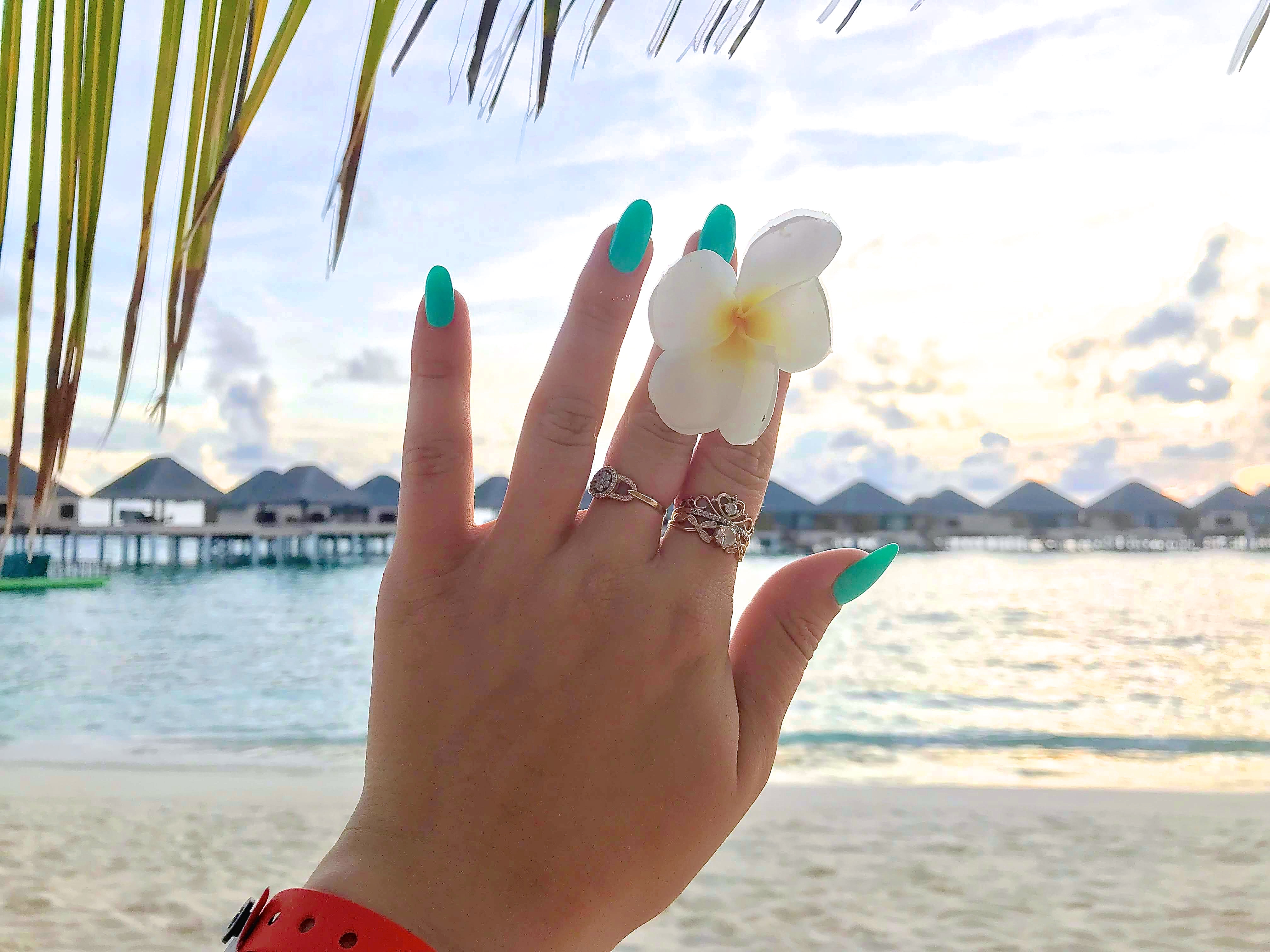 Maldives bungalows and flower in hand