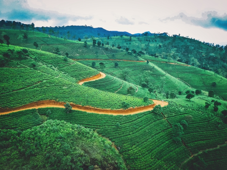 17 TIPS FOR TRAVELING TO SRI LANKA – Tips and Advice To Know Before You Go