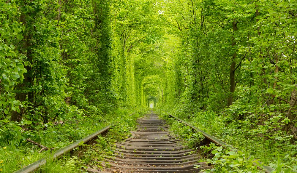 Tunnel of Love Rivne Ukraine