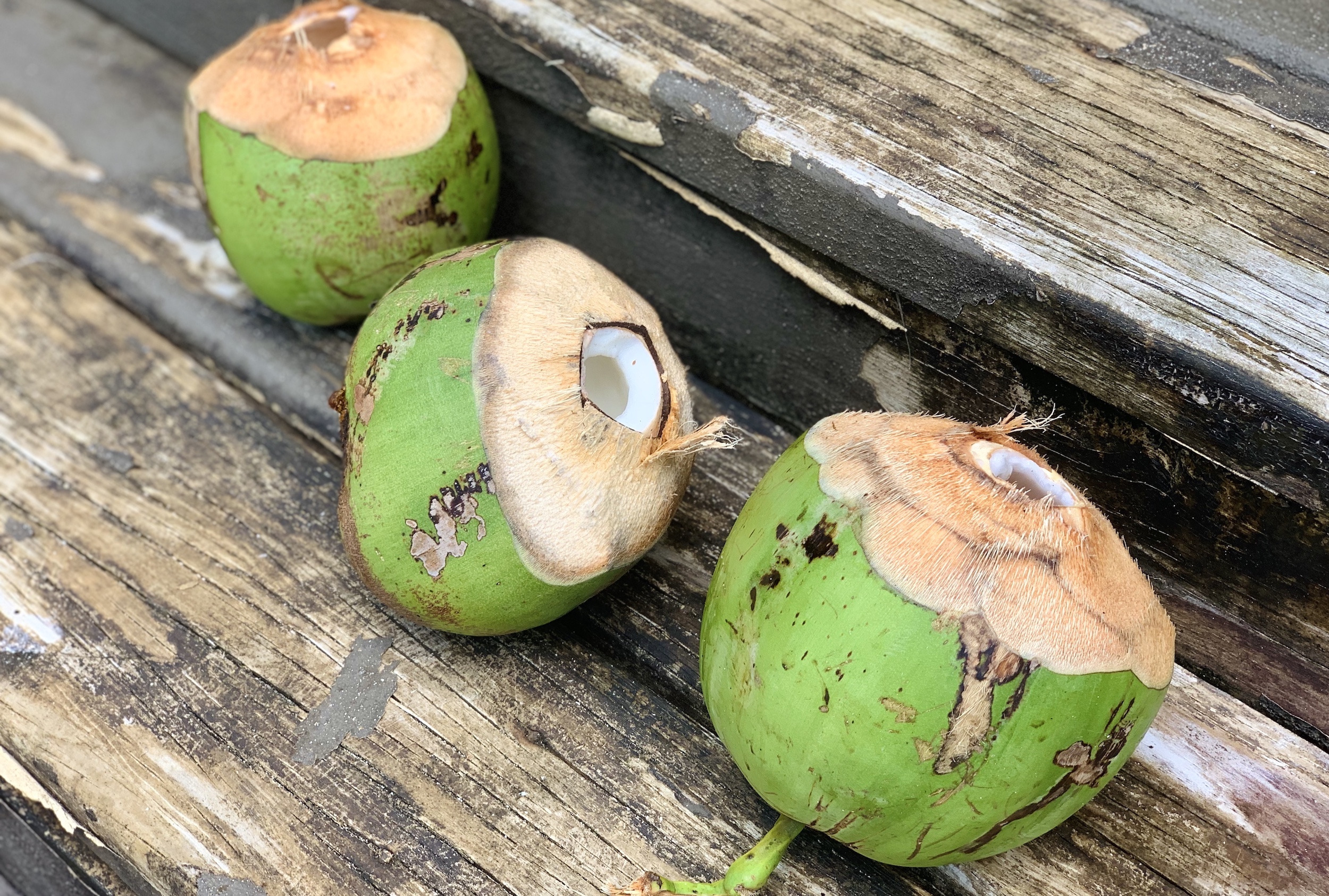 fiji-coconuts