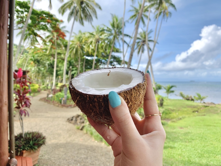 17 FIJI TRAVEL TIPS: What To Know Before Traveling to Fiji (What to do – and NOT to do!)