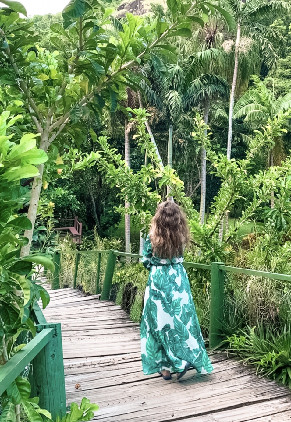 Fiji garden of the sleeping giant
