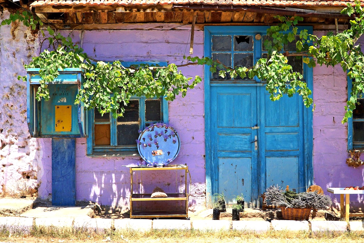 Kuyucak LAVANTA KÖYÜ Turkey Lavender Fields 