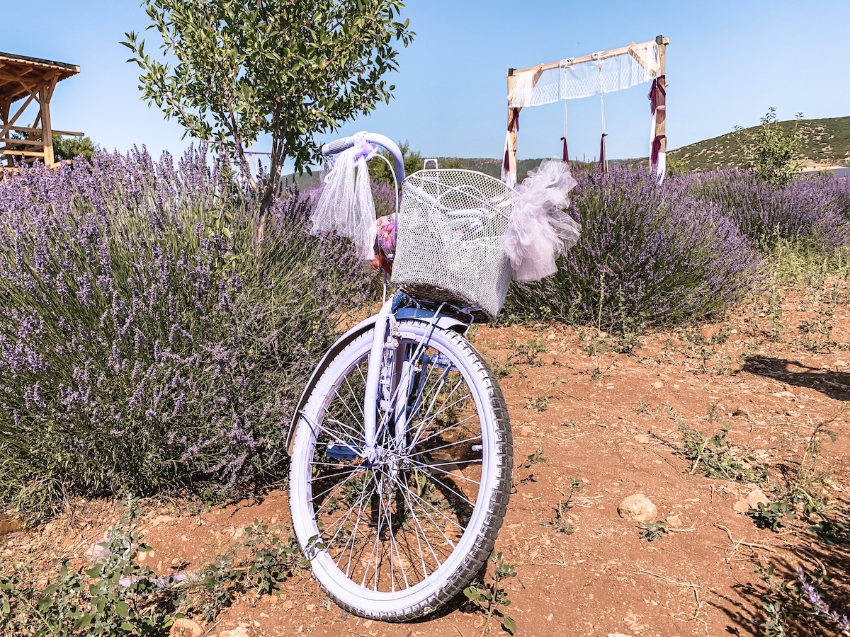 Kuyucak LAVANTA KÖYÜ Turkey Lavender Fields bike