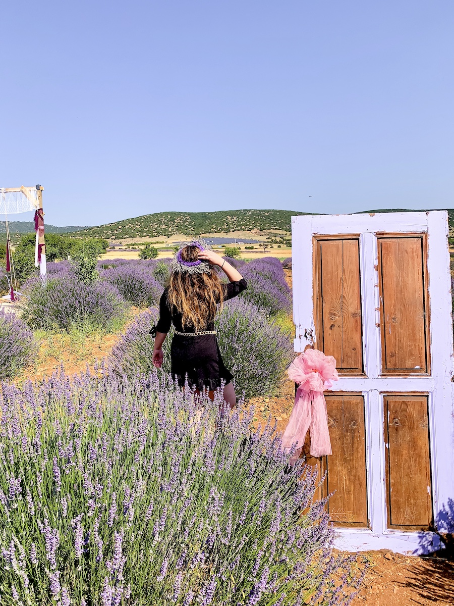 Kuyucak LAVANTA KÖYÜ Turkey Lavender Fields 