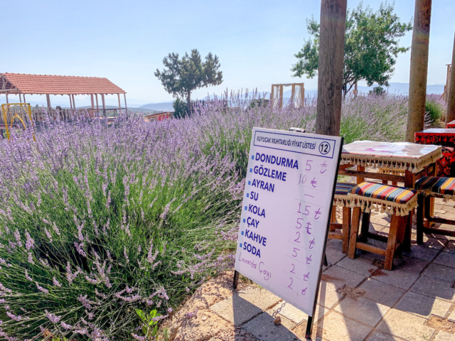 Kuyucak LAVANTA KÖYÜ Turkey Lavender Fields 