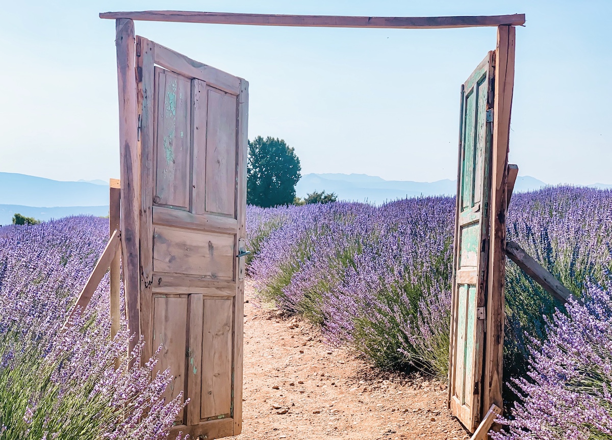 Kuyucak LAVANTA KÖYÜ Turkey Lavender Fields door