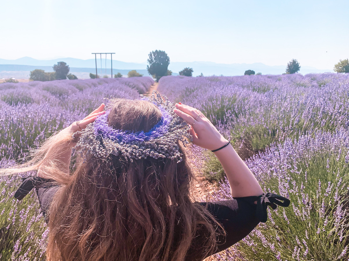 Kuyucak LAVANTA KÖYÜ Turkey Lavender Fields 