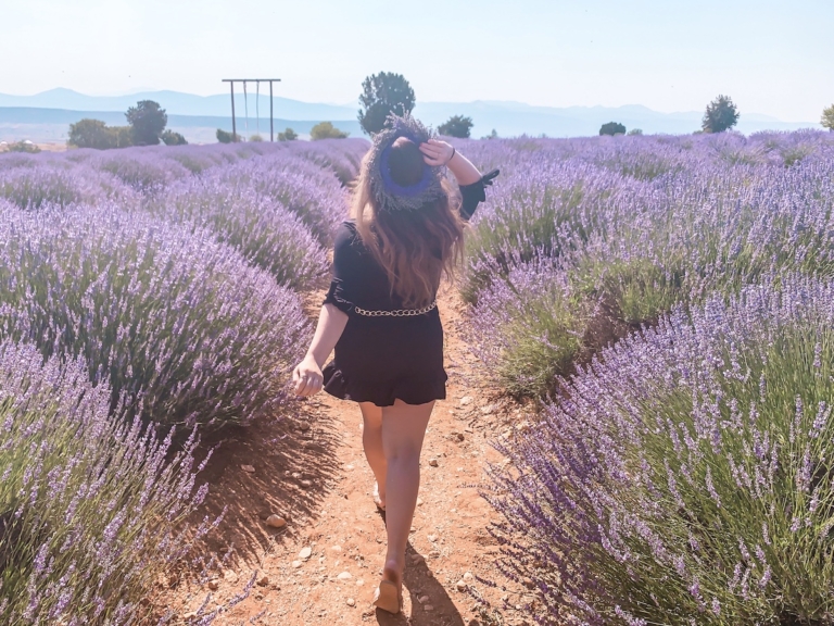 Kuyucak LAVANTA KÖYÜ Turkey Lavender Fields