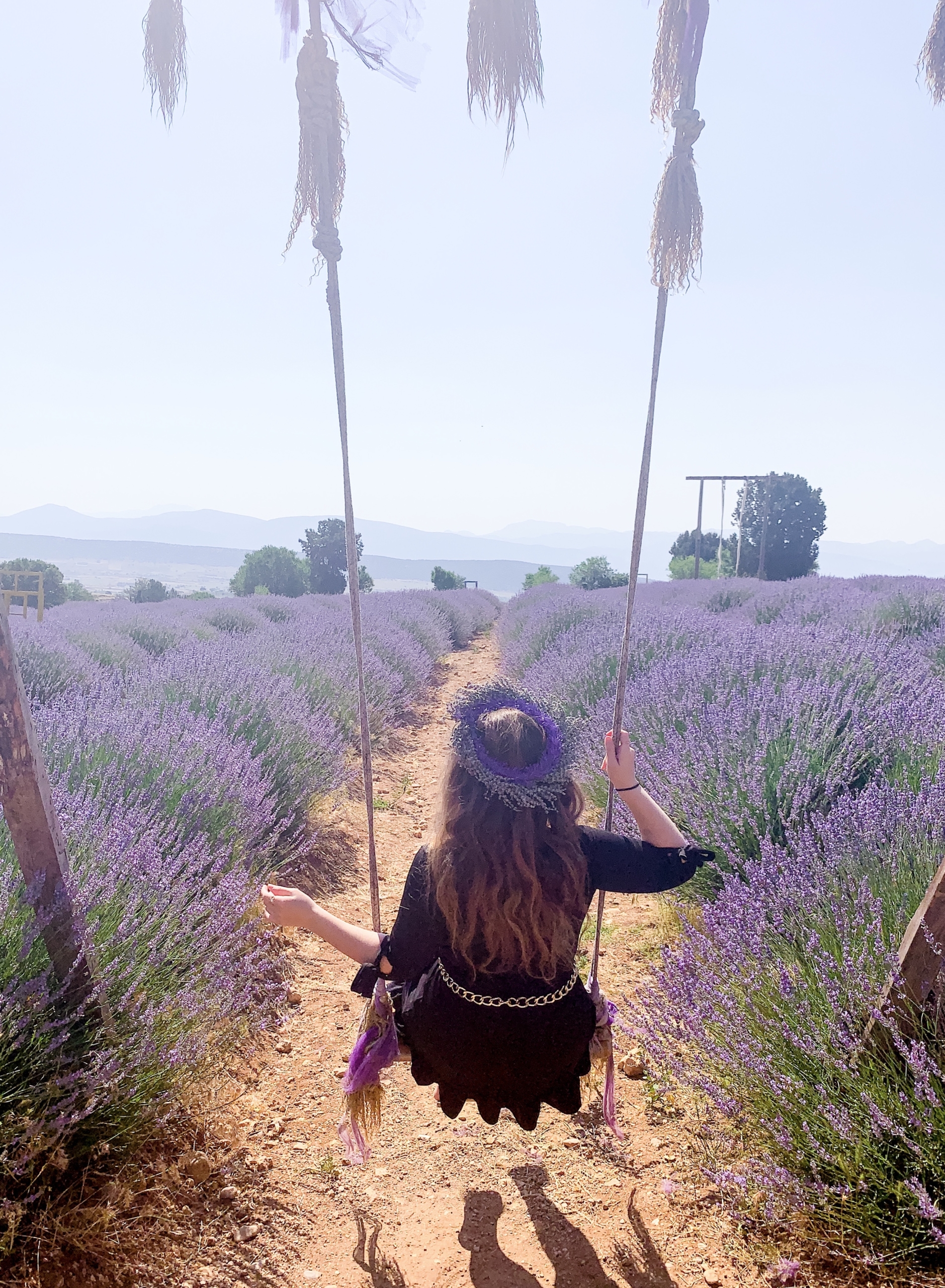 Kuyucak LAVANTA KÖYÜ Turkey Lavender Fields 