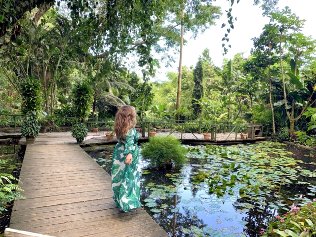 Fiji Garden of the Sleeping Giant