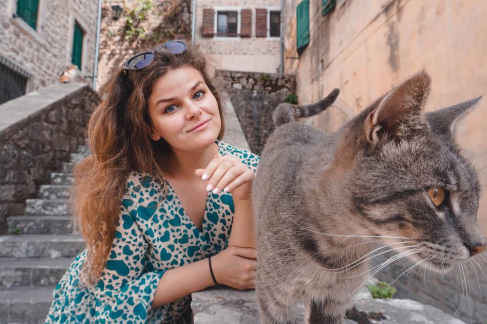 Cat-Kotor-Montenegro