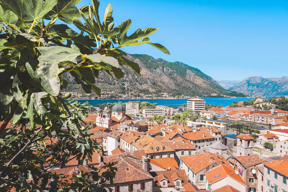 Kotor-Montenegro