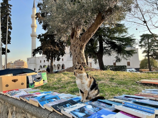 Tirana, Albania